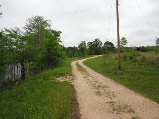 196 Acre Lakefront Property For Sale Forrest County, Petal Mississippi