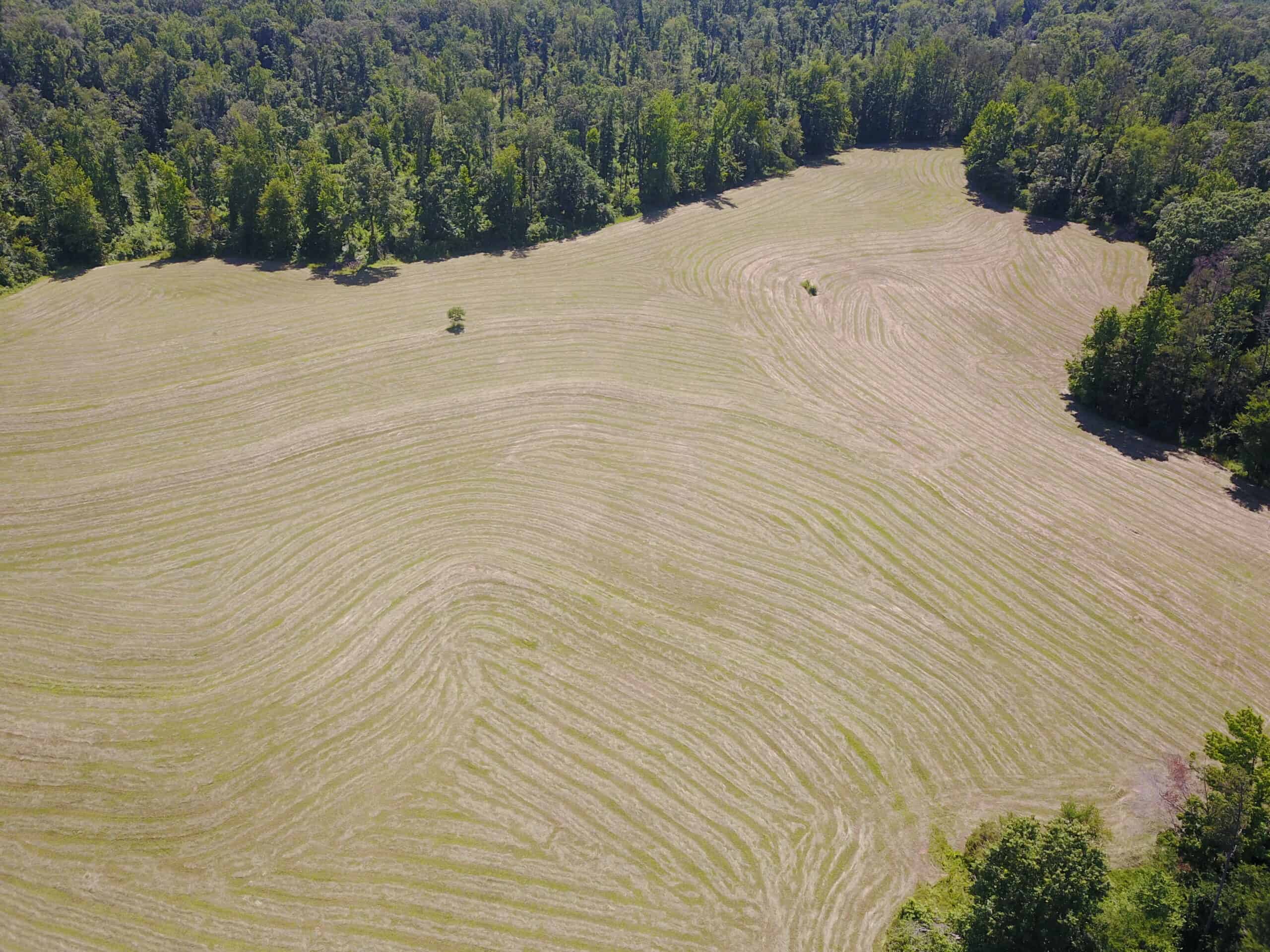 COUNTRY HOME FOR SALE IN MCNAIRY TN WITH 79.2 AC   – WHITE TAILED DEER HUNTING LAND – NO RESTRICTIONS
