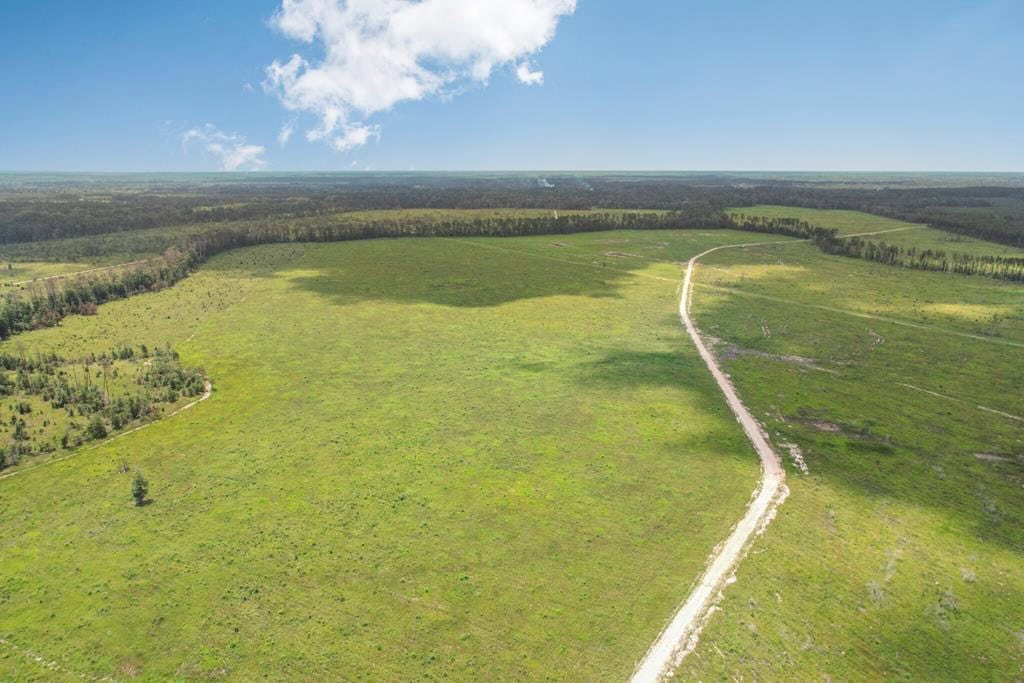 Land for Sale in Tangipahoa Parish, LA.