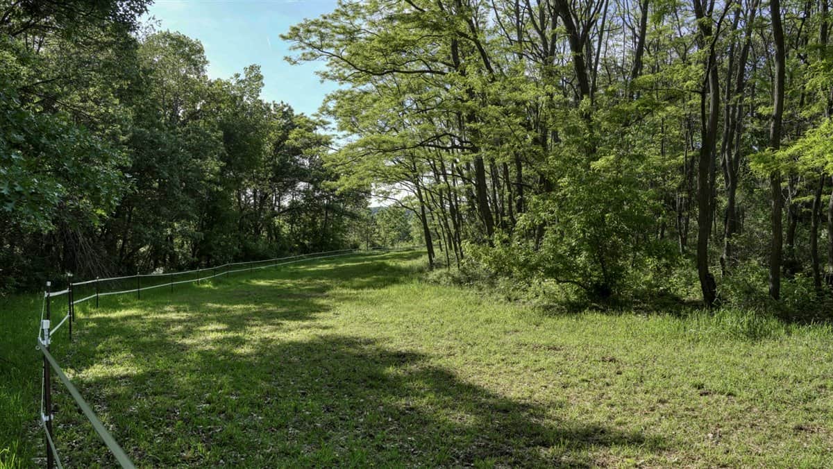 Located in Western Jackson County, WI this 23.55 acres