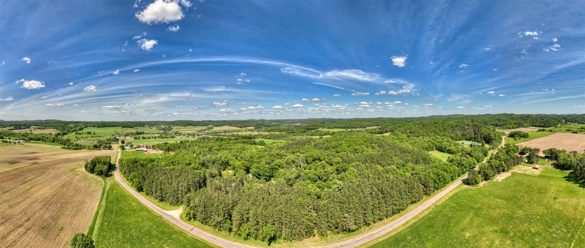 Western Jackson County, WI 11.77 Timbered Acre