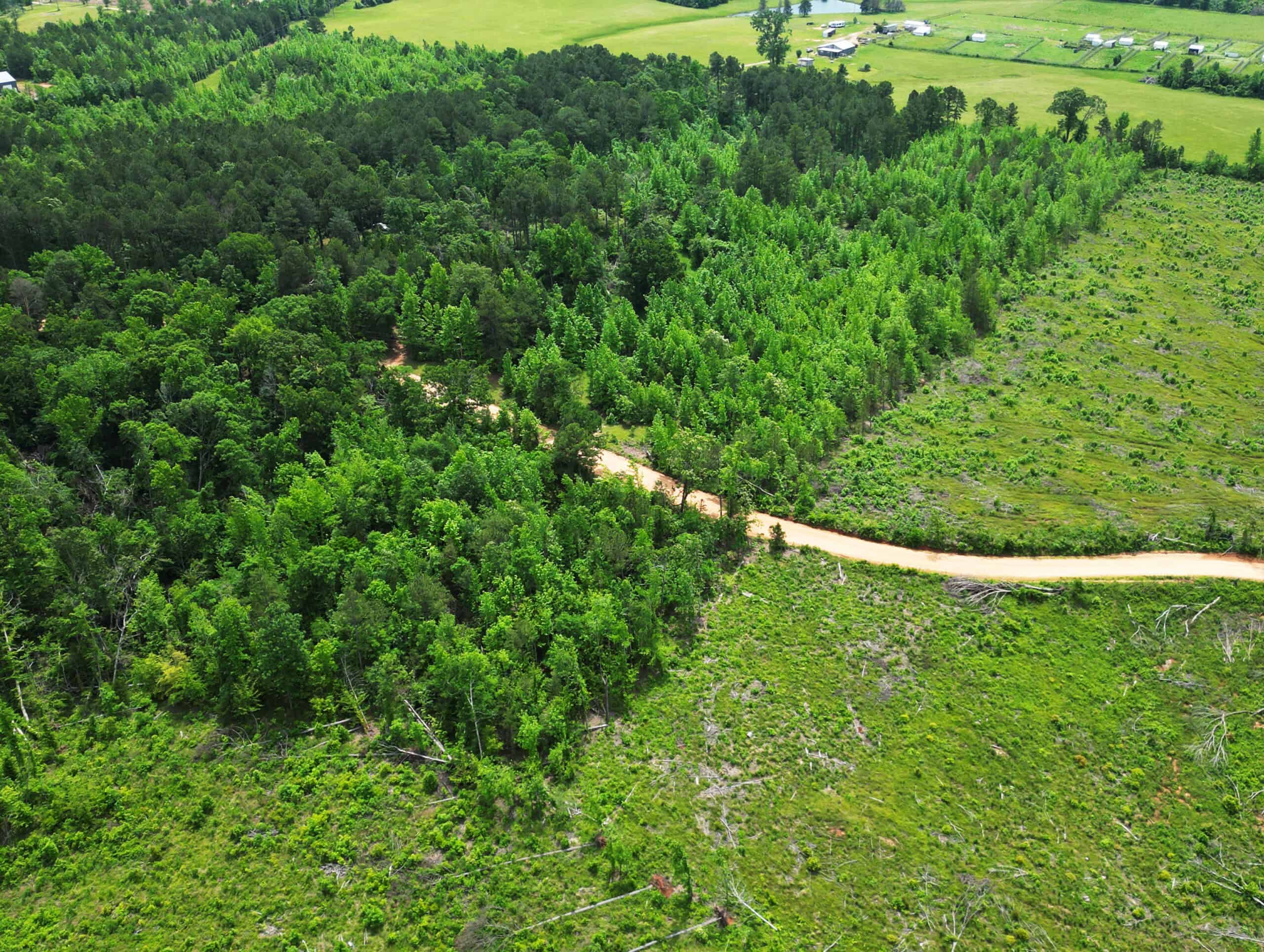 Excellent Hunting Land in Miller County