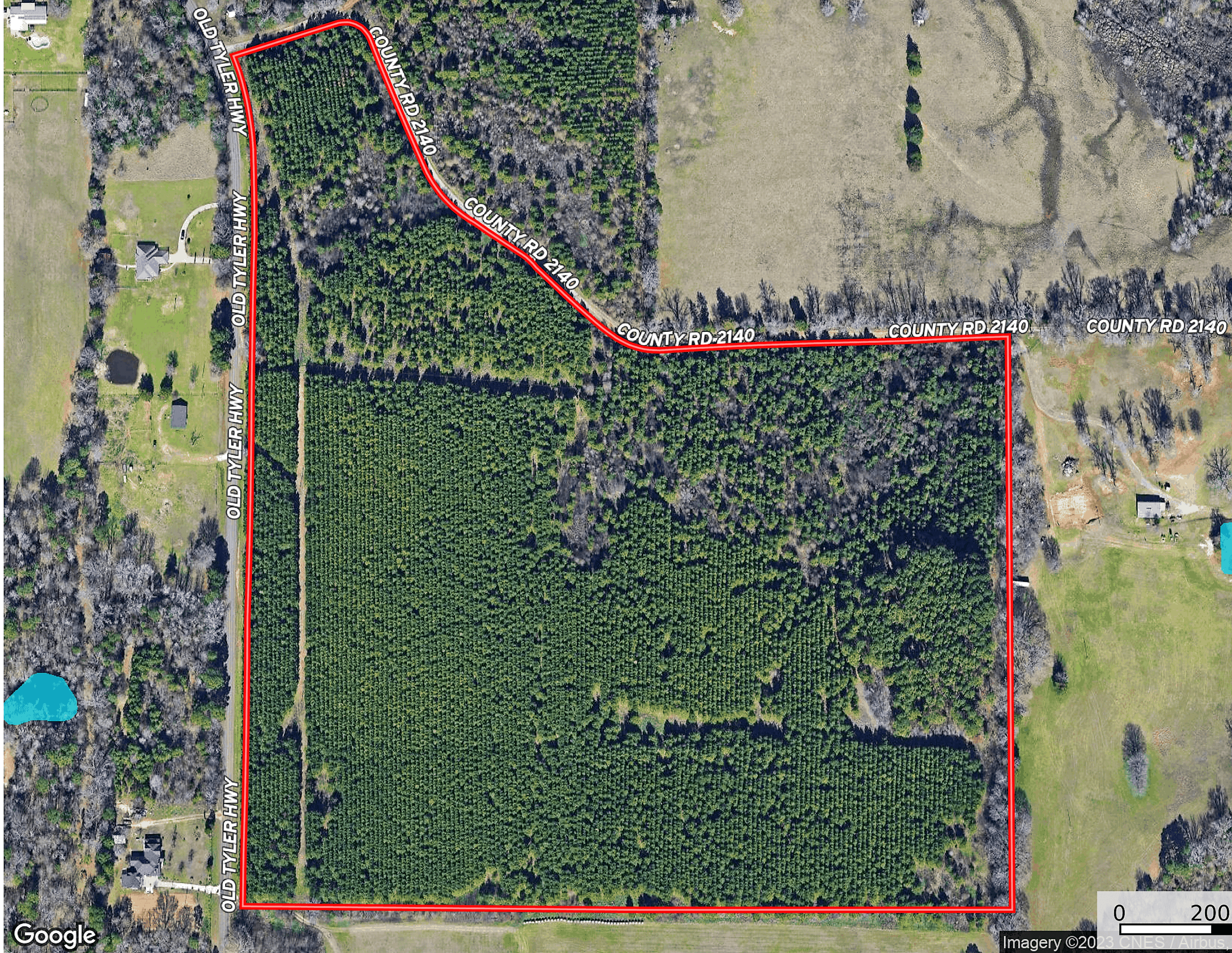 East Texas Recreational Timberland for Sale Near Troup