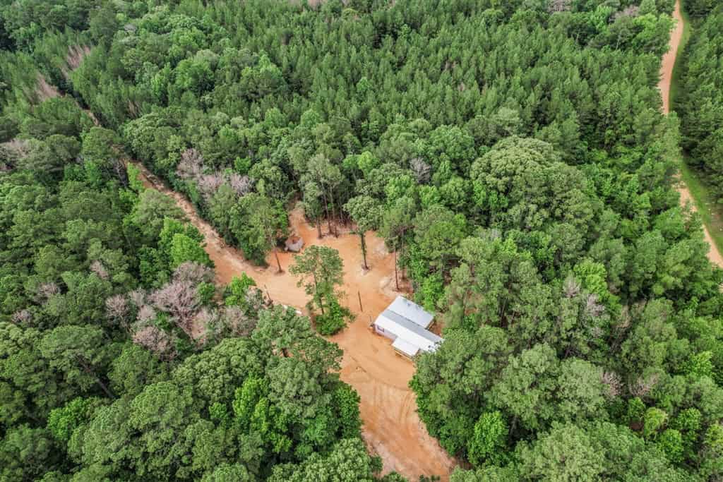 Wilkinson County Land for Sale Bordering National Forest