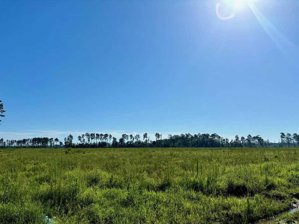 Land for Sale in Tangipahoa Parish, LA.