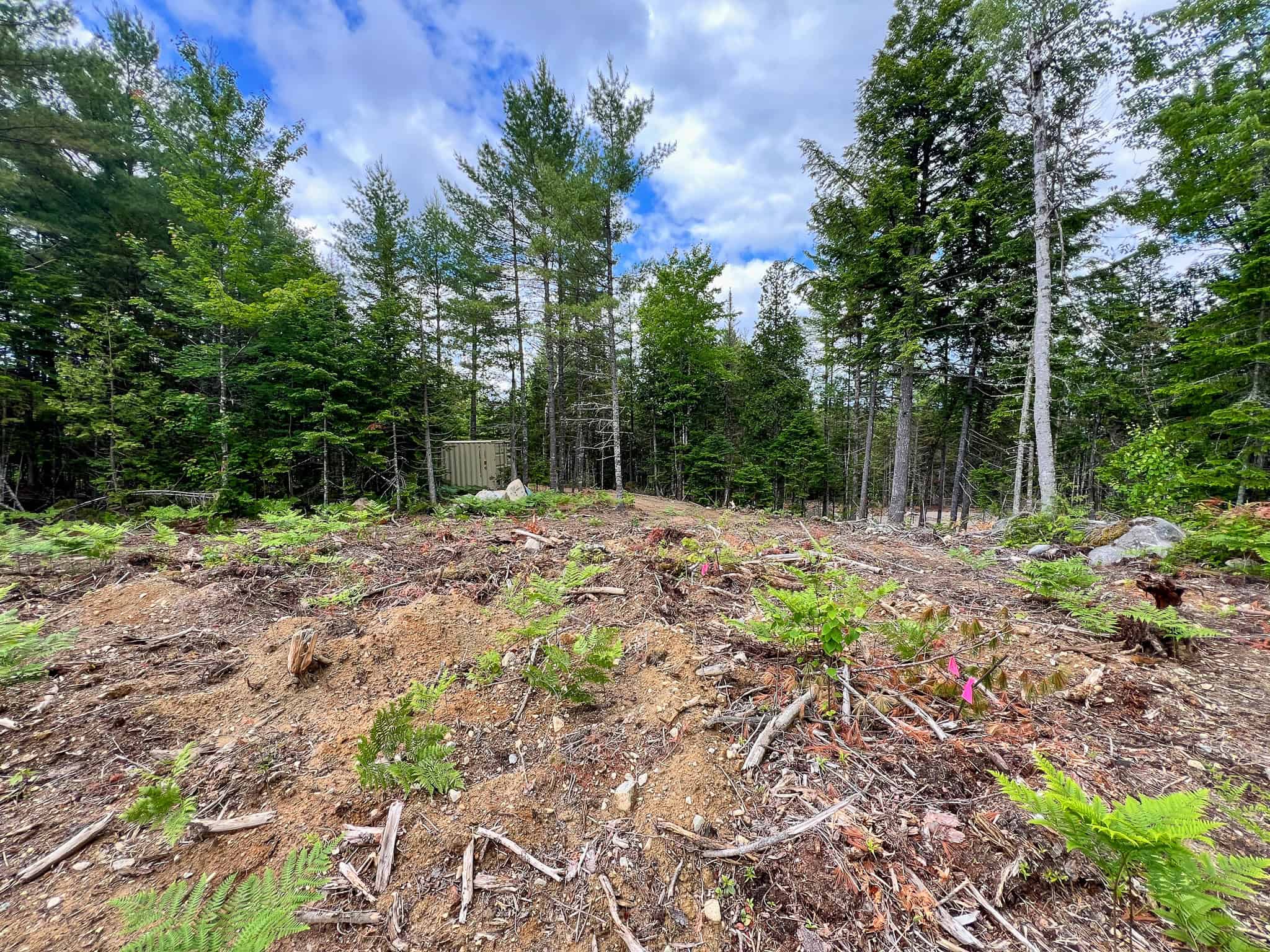 Maine Lakefront Land