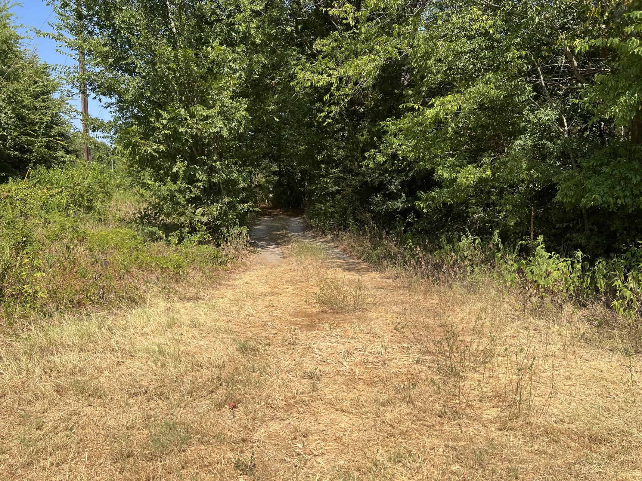East Texas Recreational Timberland for Sale Near Troup