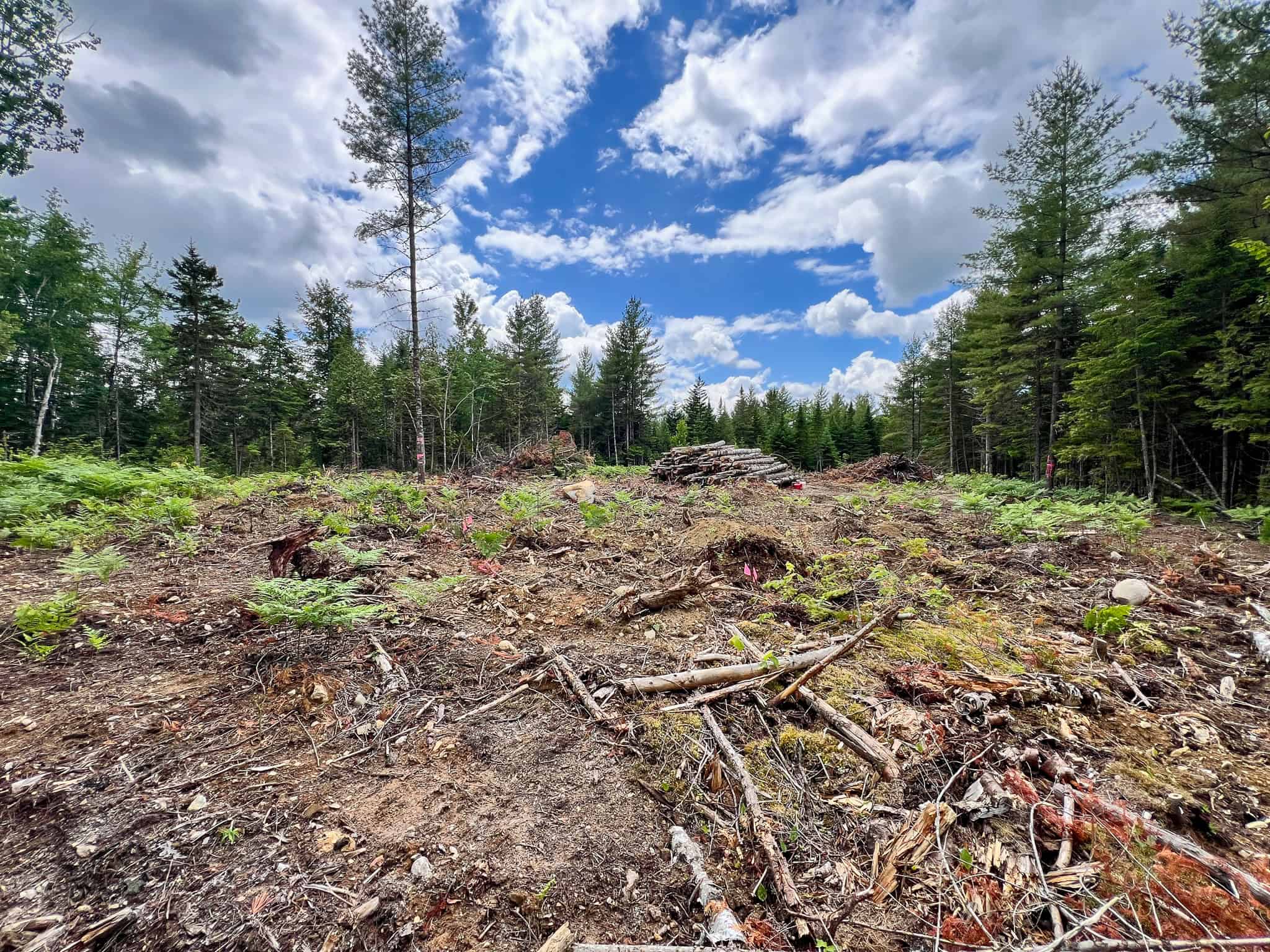 Maine Lakefront Land