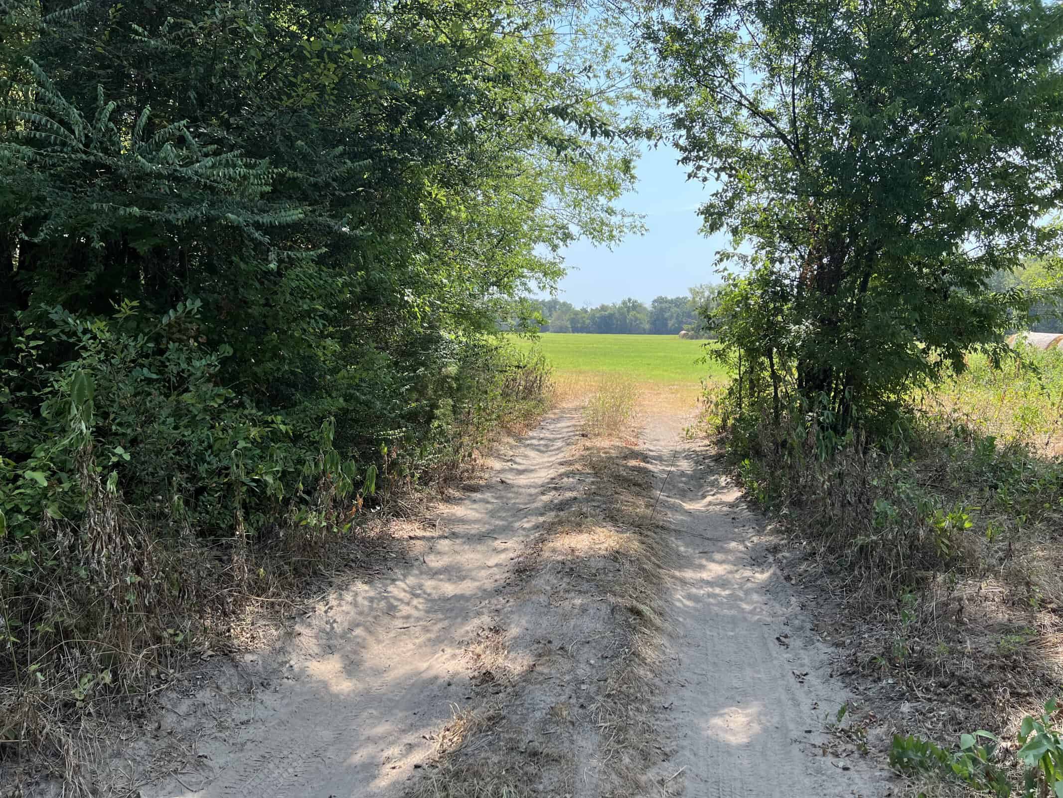 East Texas Recreational Timberland for Sale Near Troup
