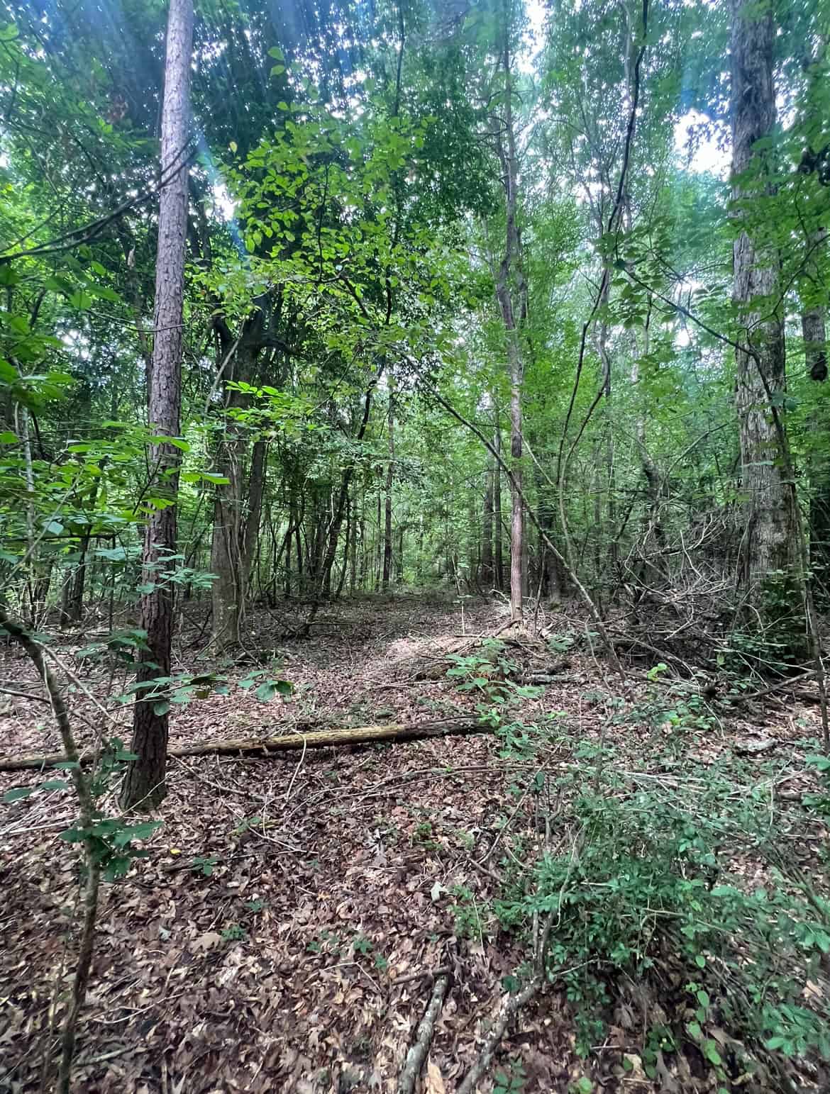 000 Cooper Church Road, Leesville, Louisiana