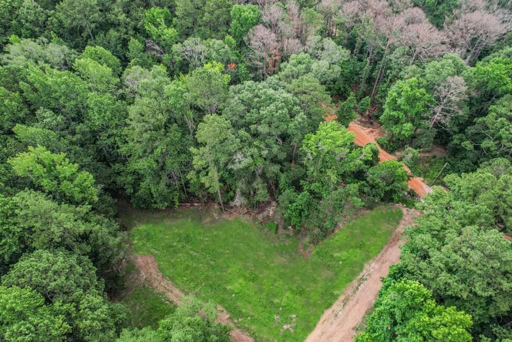 Wilkinson County Land for Sale Bordering National Forest
