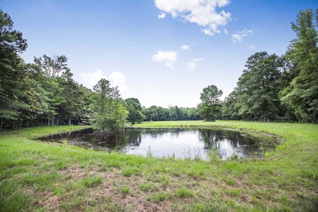 Rare Hunting Tract for Sale in Forrest County, MS