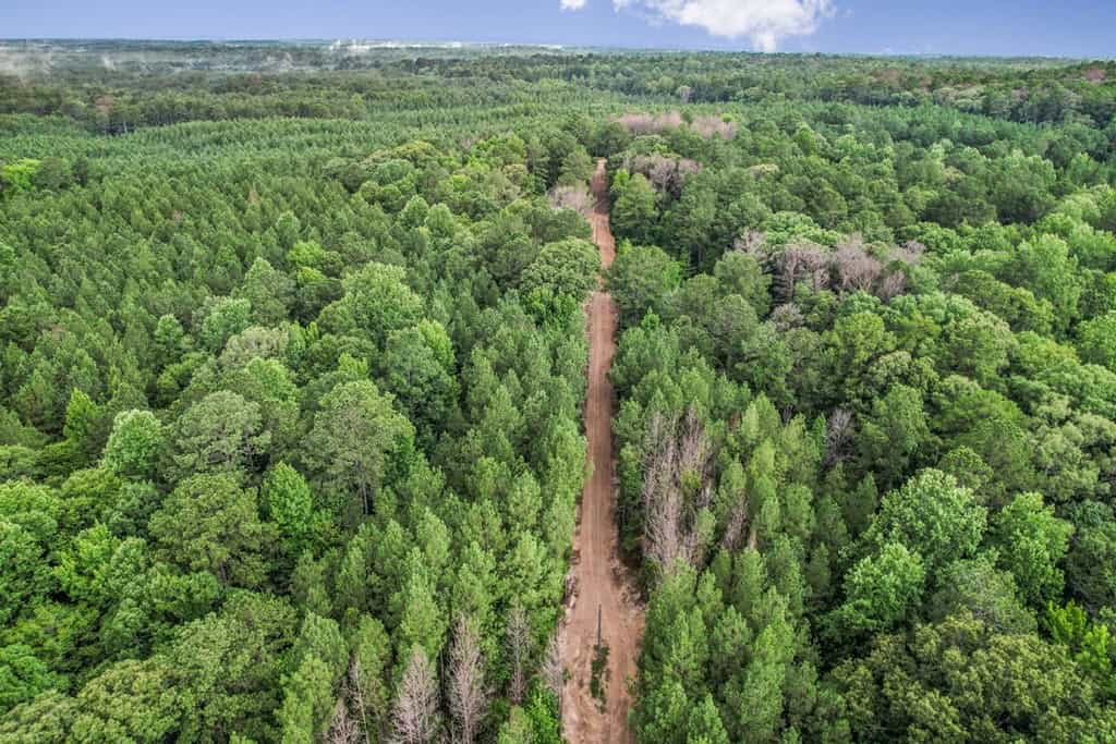 Wilkinson County Land for Sale Bordering National Forest