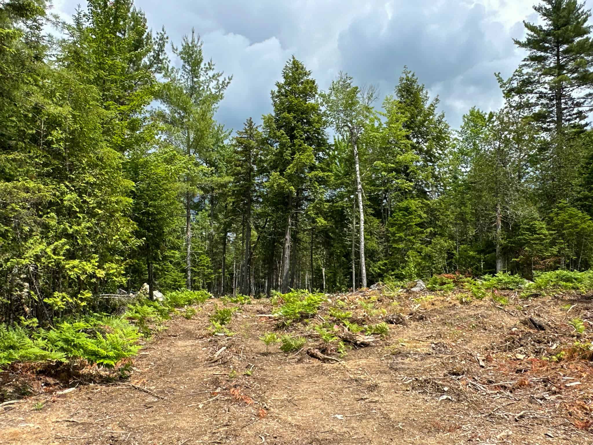 Maine Lakefront Land