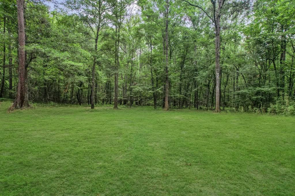Wilkinson County Land for Sale Bordering National Forest
