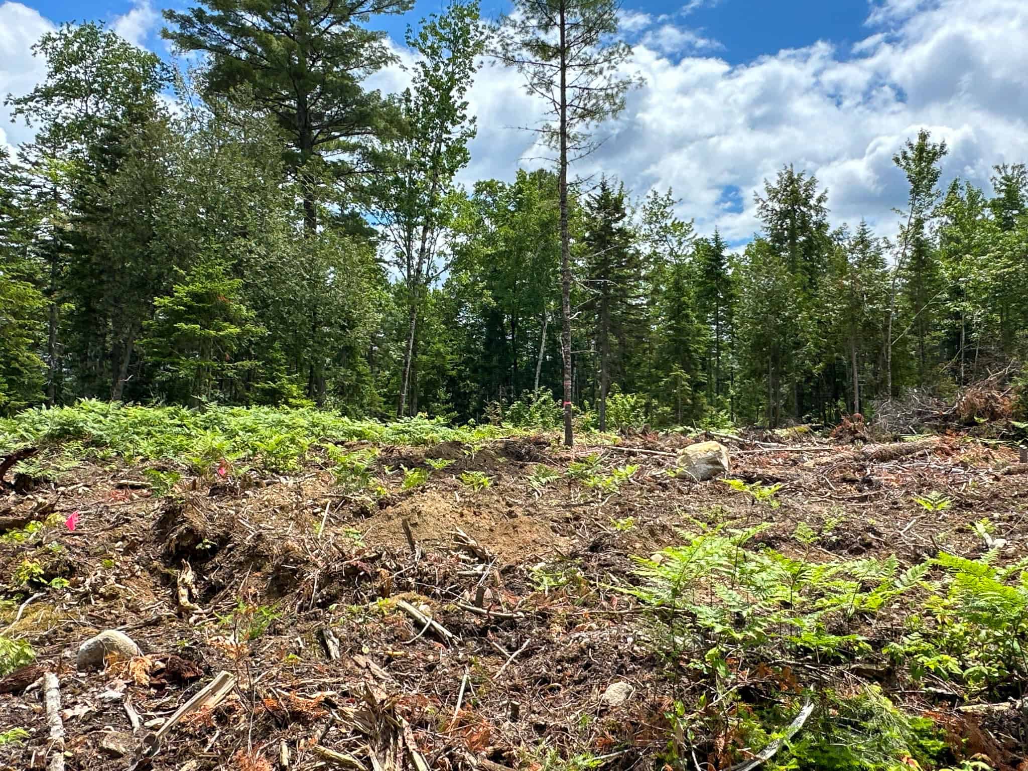 Maine Lakefront Land