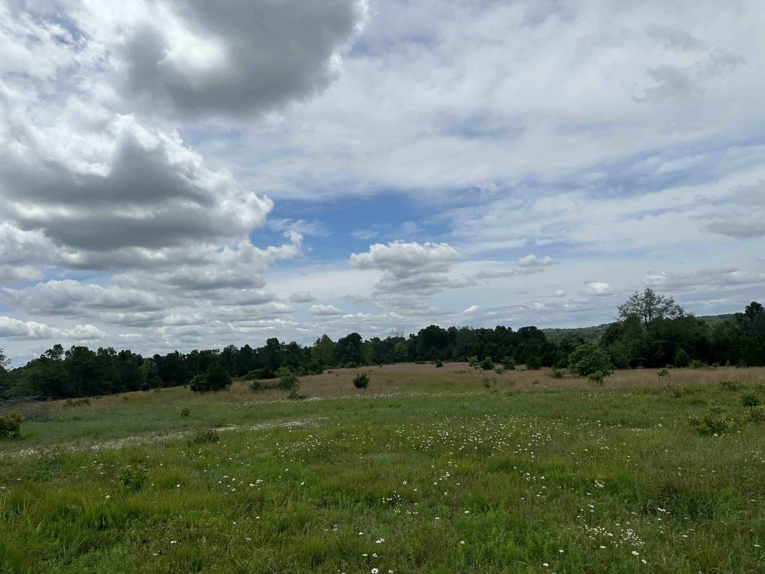 OZARKS FARM AND COUNTRY HOME FOR SALE NEAR STURKIE ARKANSAS
