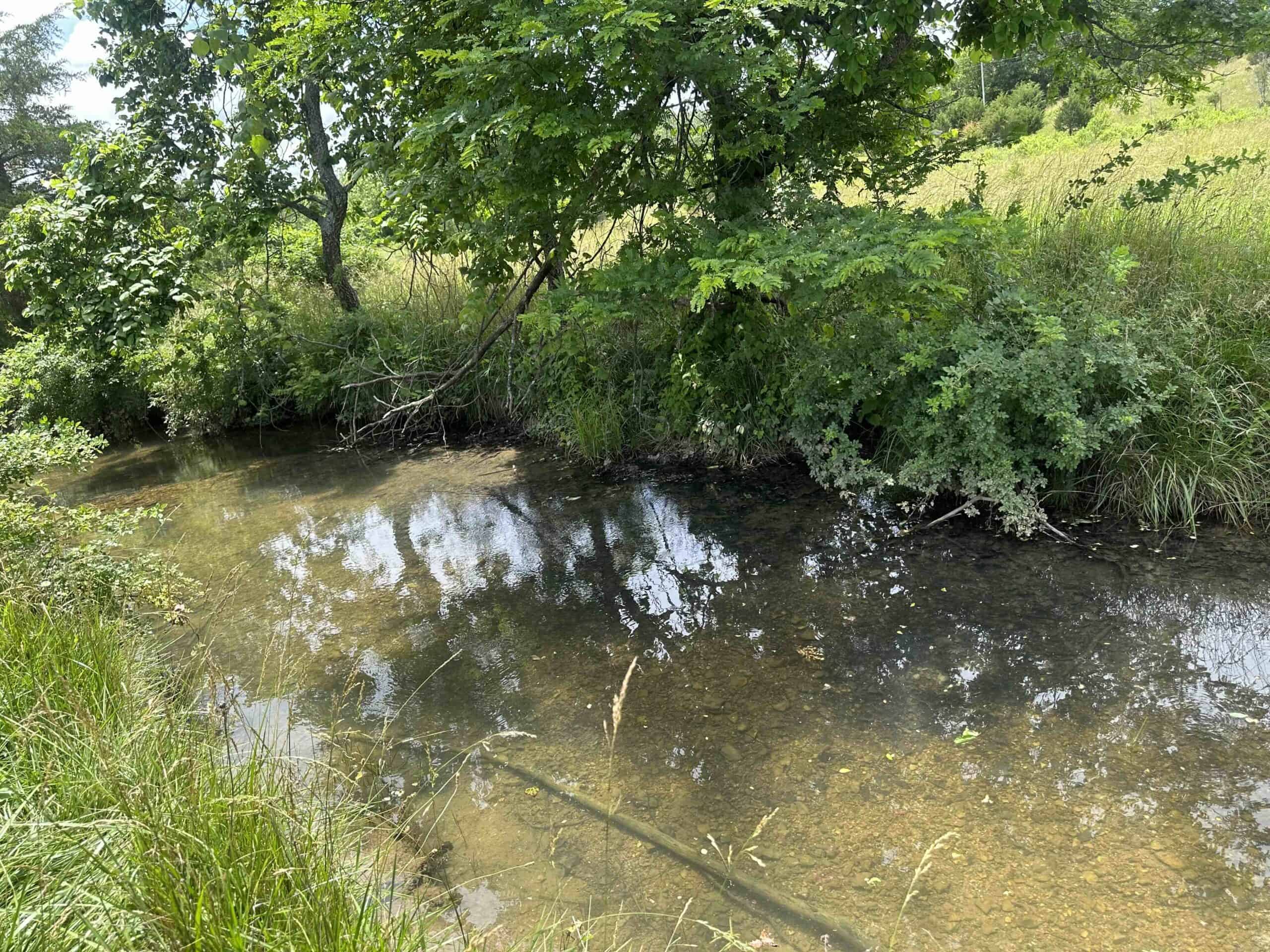 OZARKS FARM AND COUNTRY HOME FOR SALE NEAR STURKIE ARKANSAS
