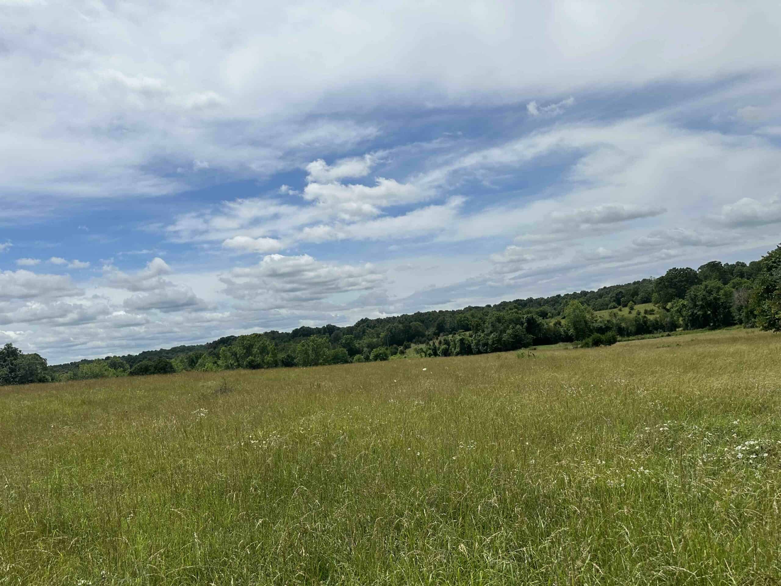 OZARKS FARM AND COUNTRY HOME FOR SALE NEAR STURKIE ARKANSAS
