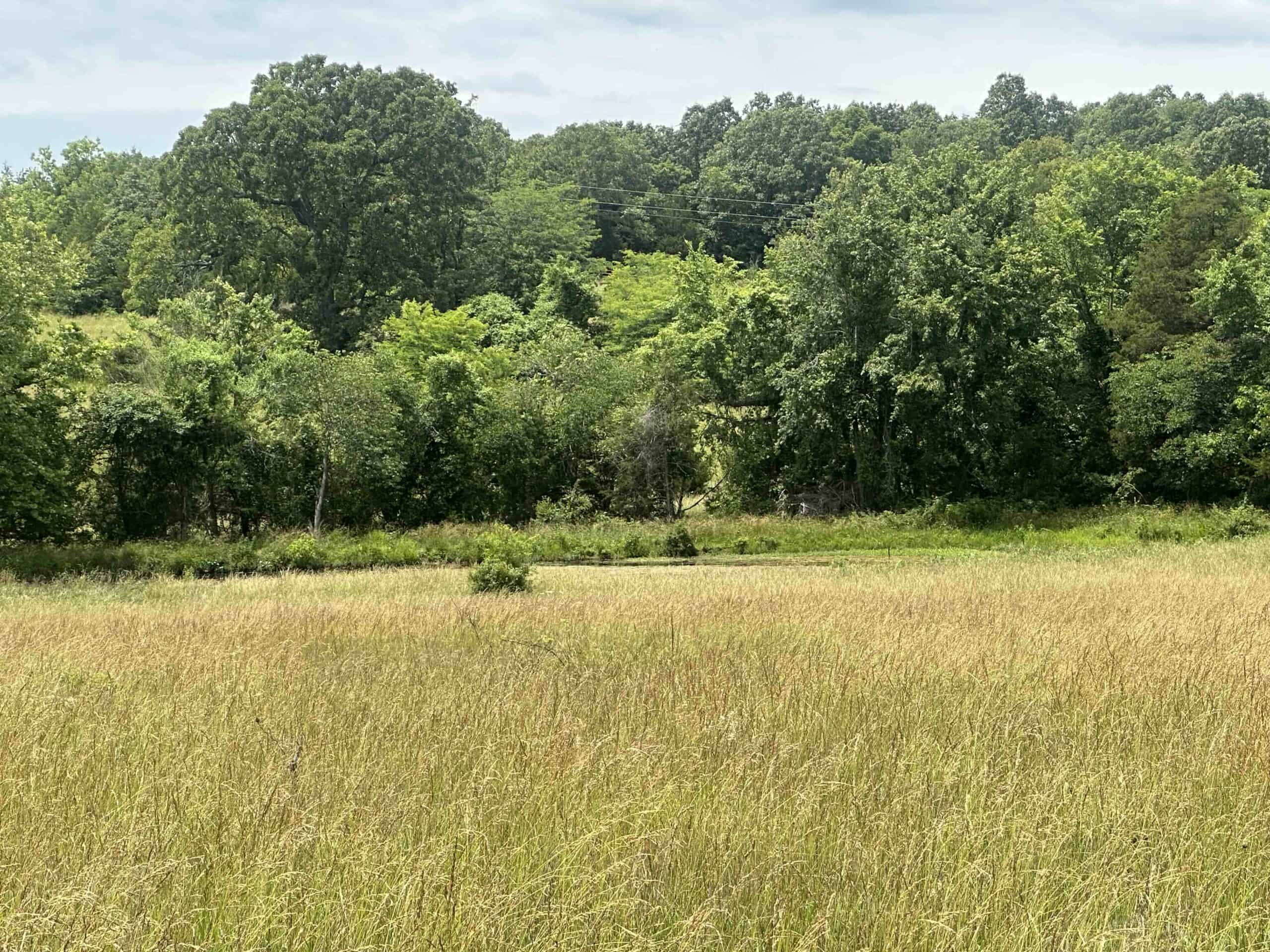 OZARKS FARM AND COUNTRY HOME FOR SALE NEAR STURKIE ARKANSAS