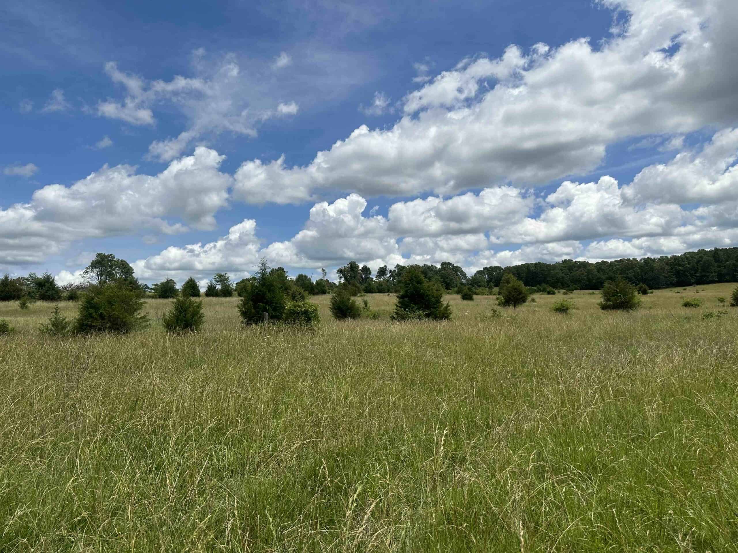 OZARKS FARM AND COUNTRY HOME FOR SALE NEAR STURKIE ARKANSAS