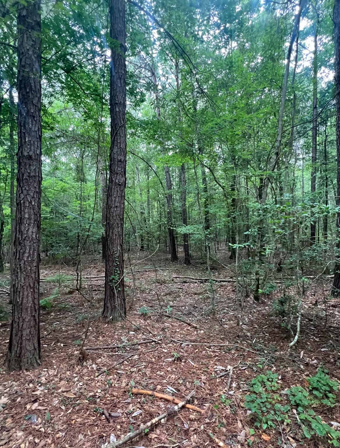 000 Cooper Church Road, Leesville, Louisiana