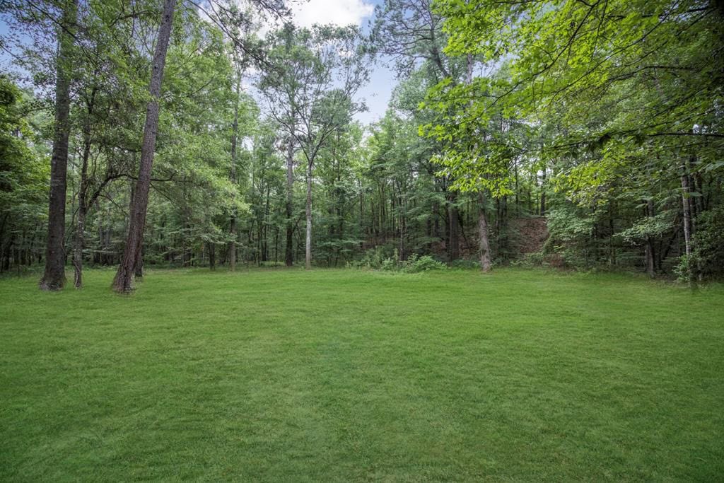 Wilkinson County Land for Sale Bordering National Forest