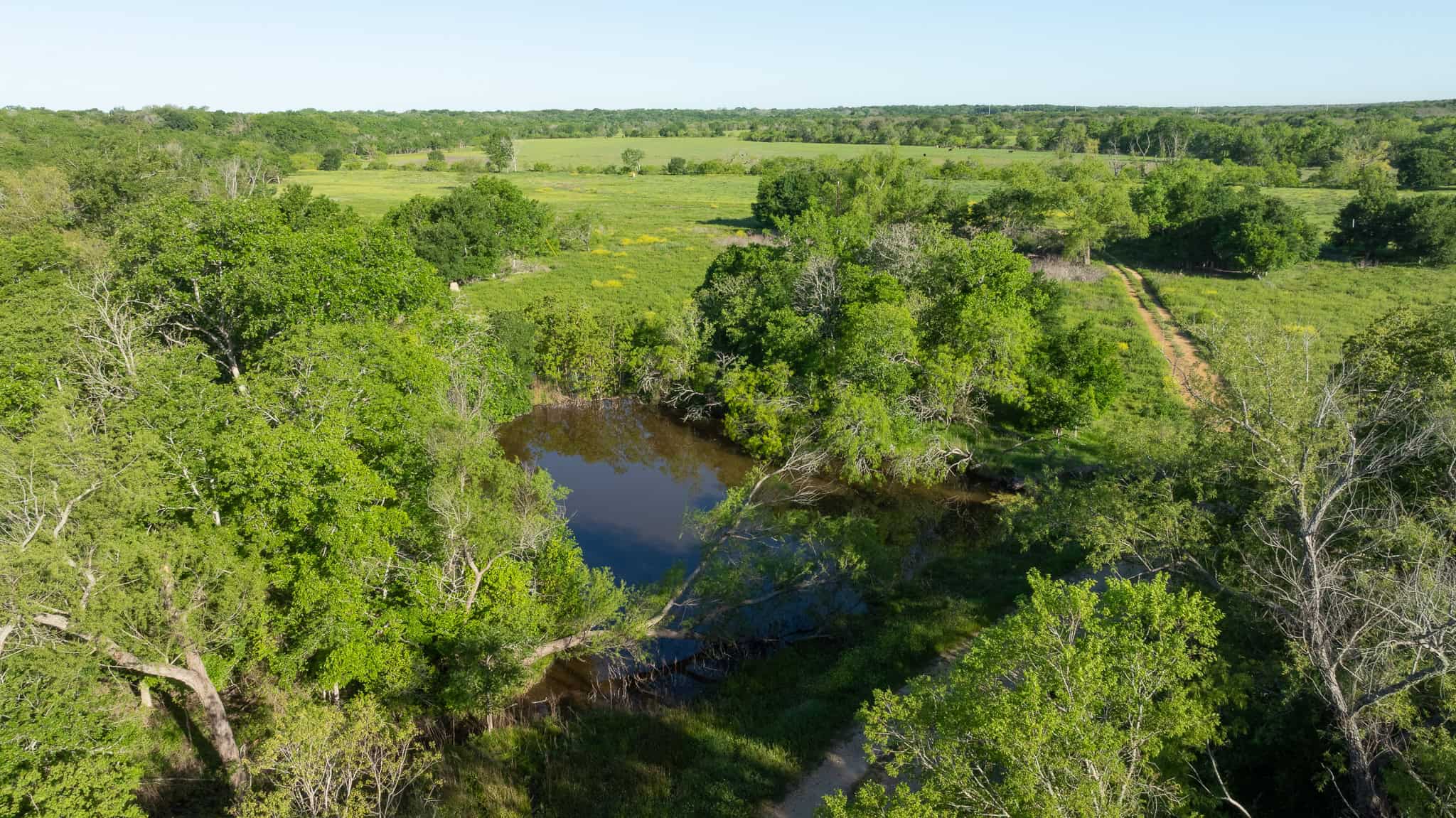 Central TX Ranch for Sale Between Austin & San Antonio