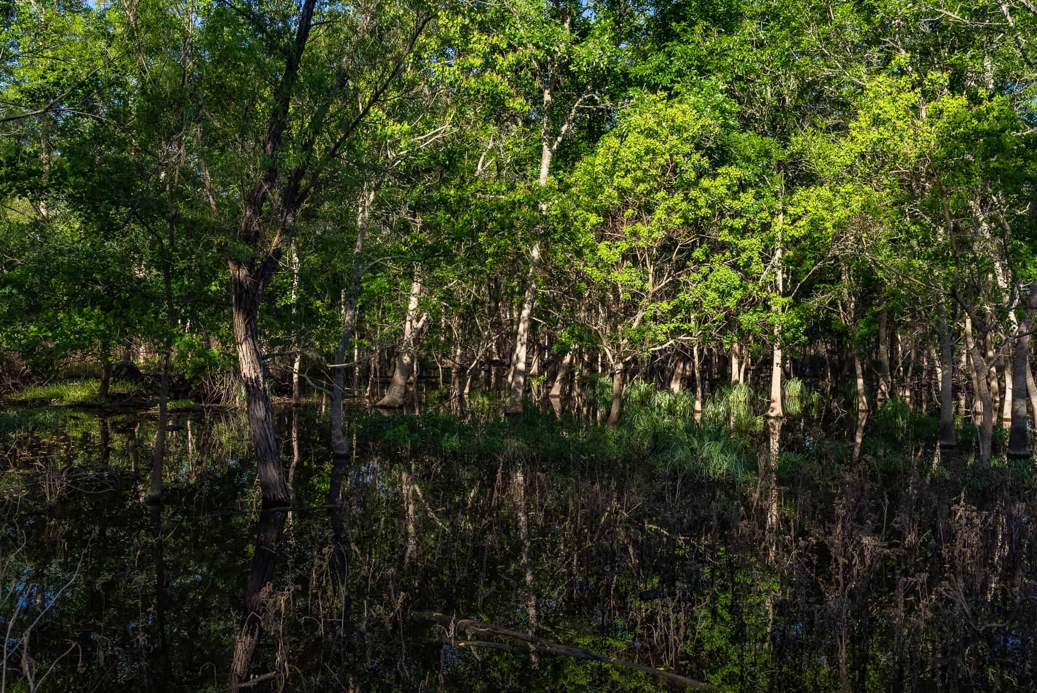 Central TX Ranch for Sale Between Austin & San Antonio