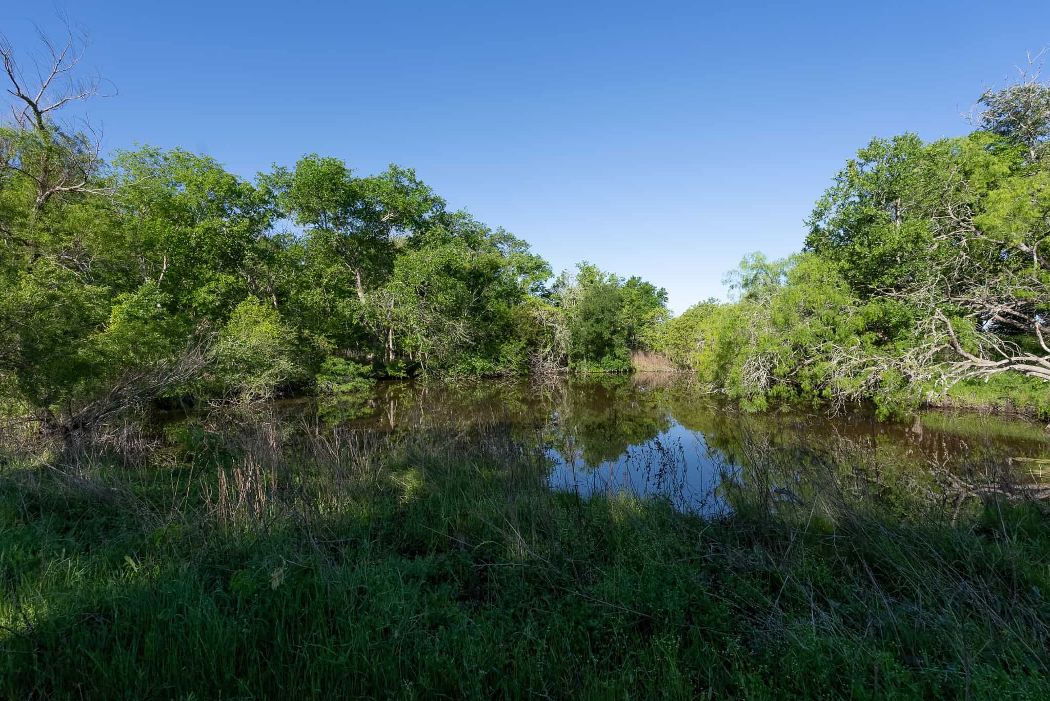 Central TX Ranch for Sale Between Austin & San Antonio