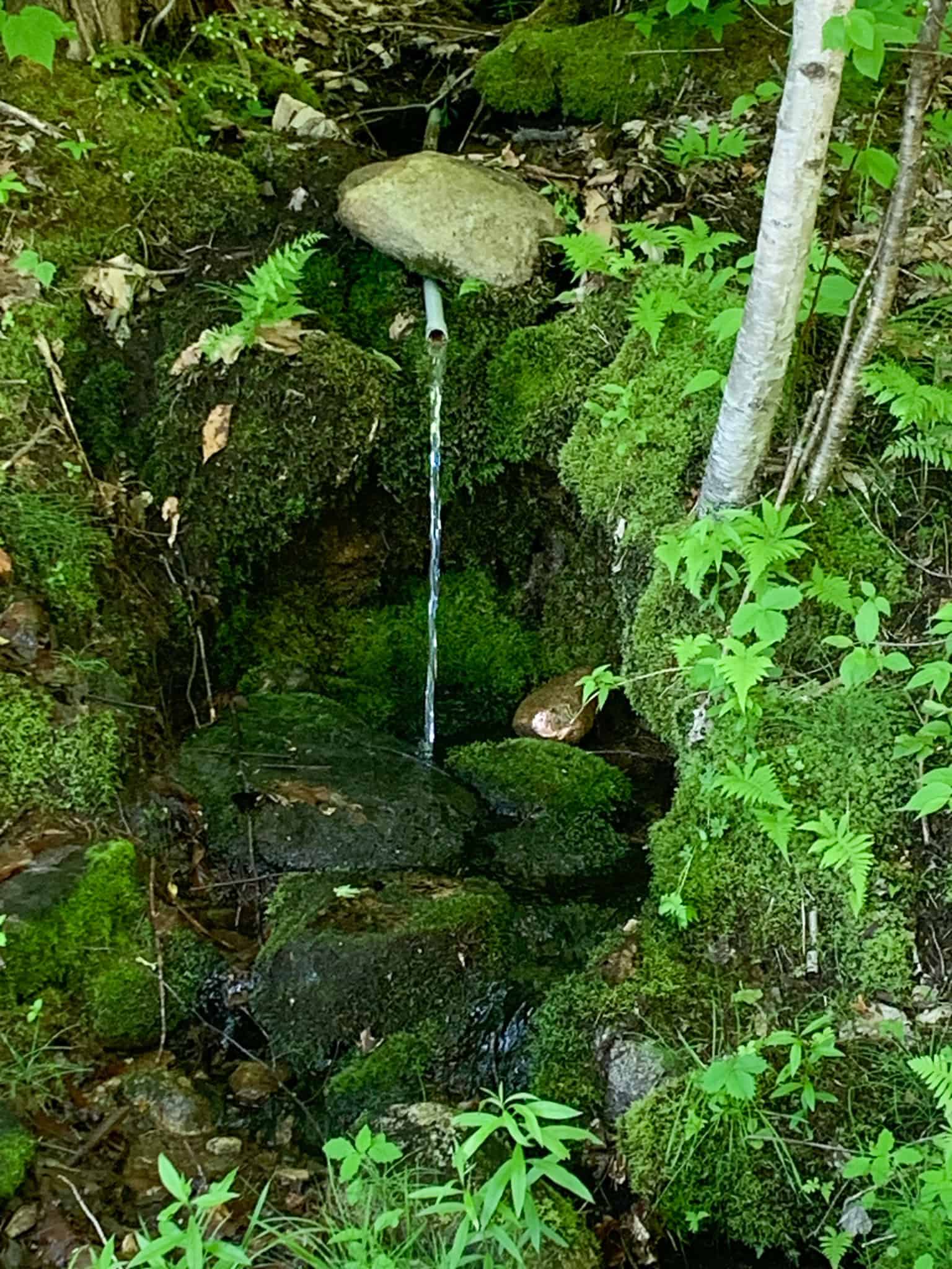 50 Acre Private Oasis