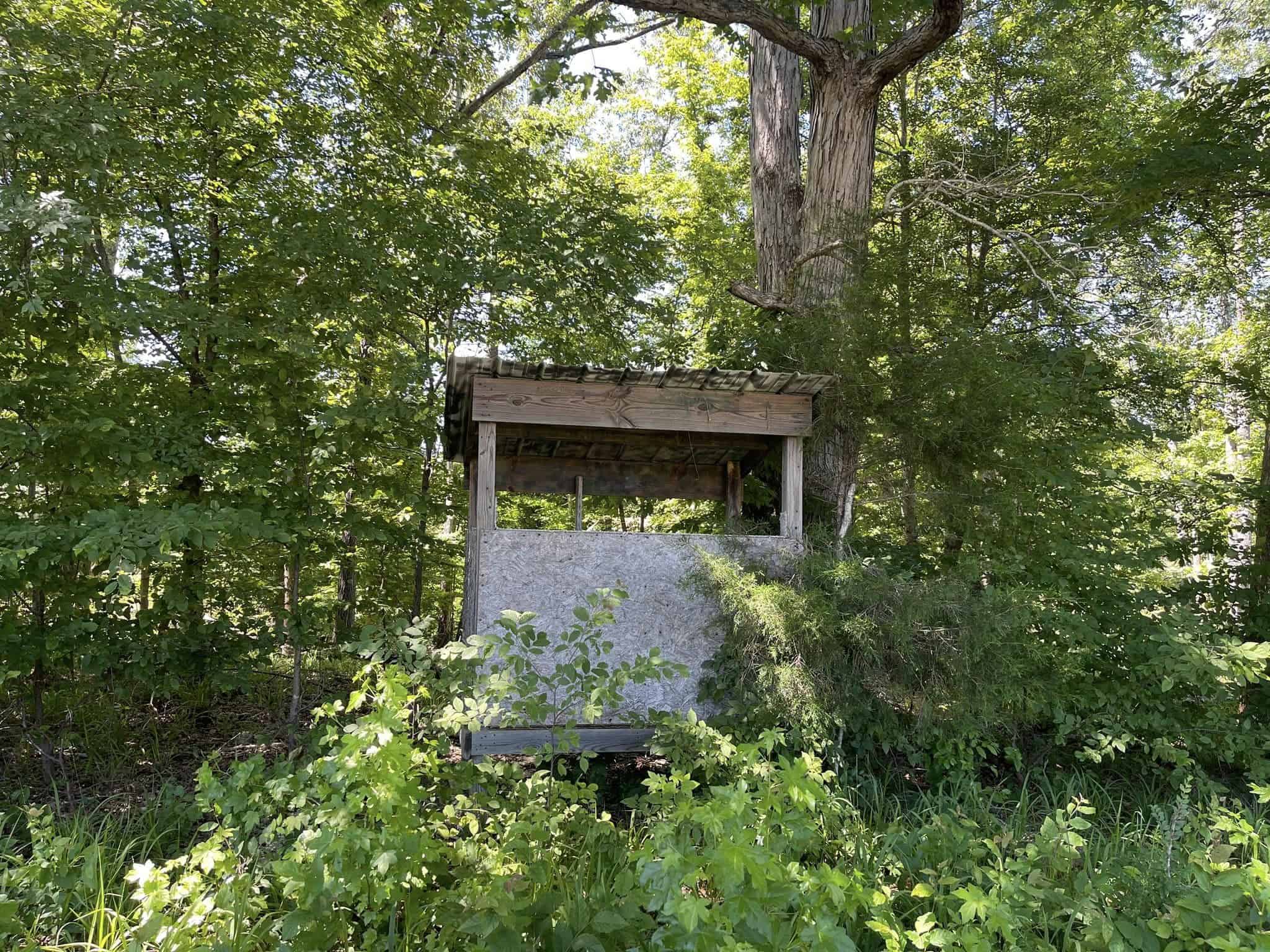 COUNTRY HOME FOR SALE IN MCNAIRY TN WITH 79.2 AC   – WHITE TAILED DEER HUNTING LAND – NO RESTRICTIONS