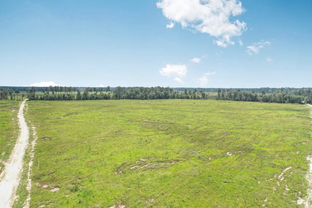 Land for Sale in Tangipahoa Parish, LA.