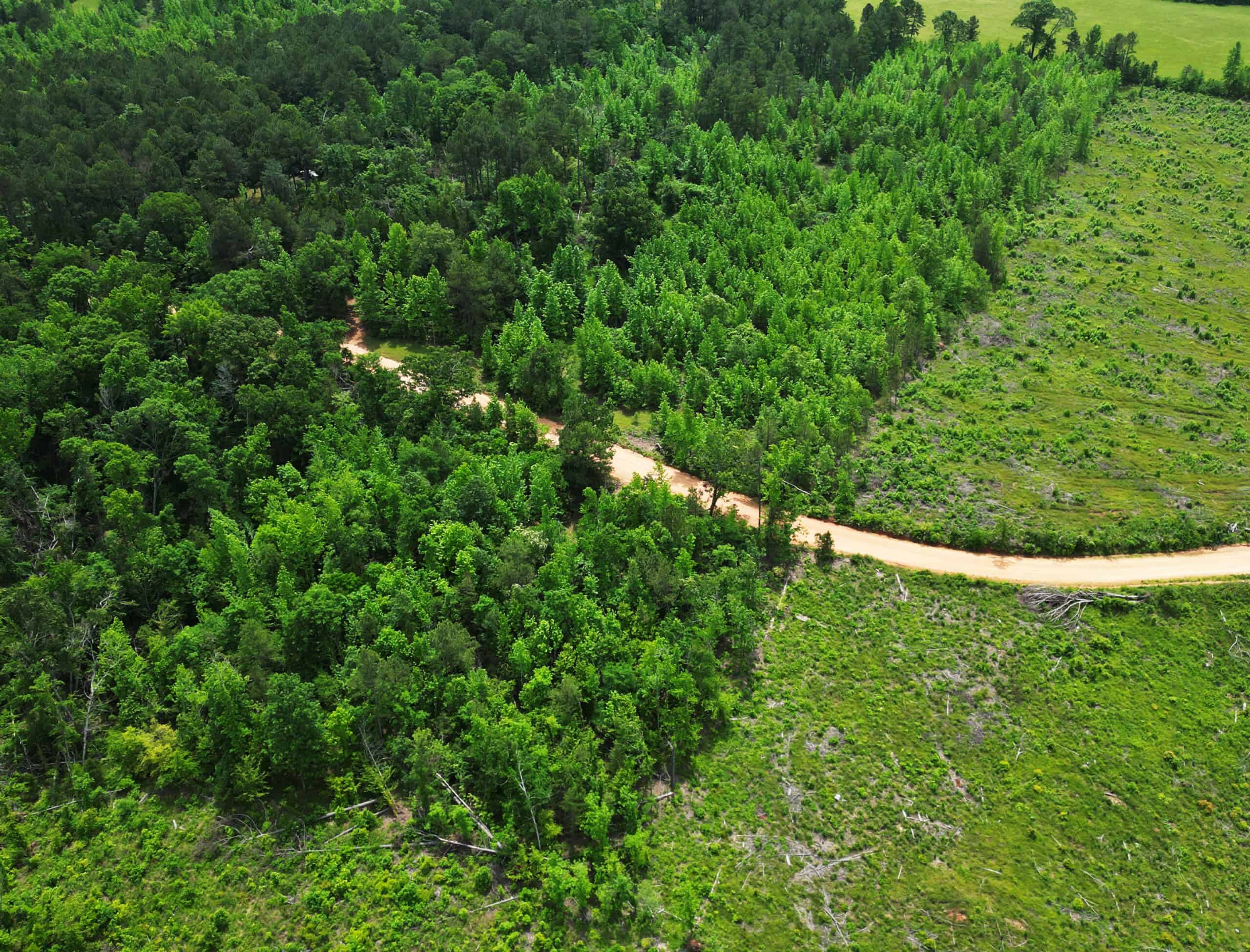 Excellent Hunting Land in Miller County