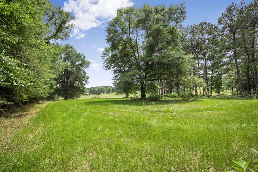 Country Home for Sale with Pond, Barn, Shops Marion Co, MS