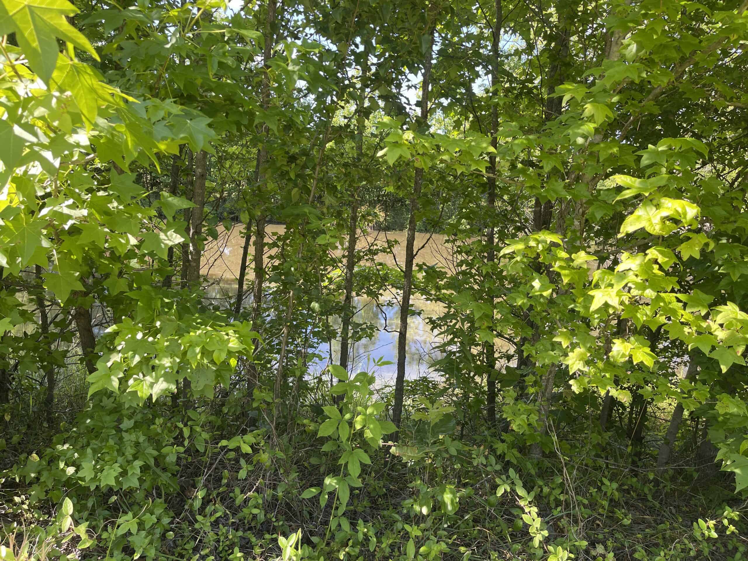 COUNTRY HOME FOR SALE IN MCNAIRY TN WITH 79.2 AC   – WHITE TAILED DEER HUNTING LAND – NO RESTRICTIONS