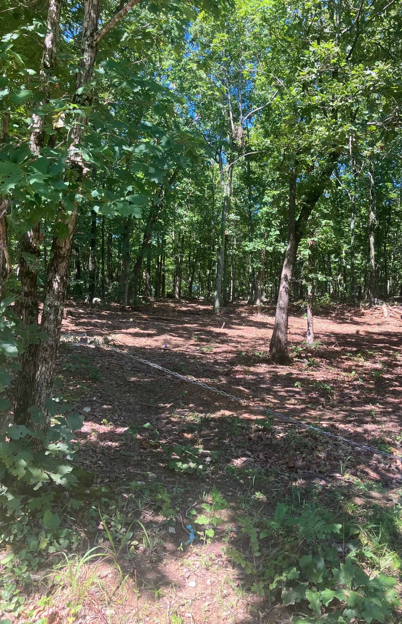OZARKS RECREATIONAL/HUNTING ACREAGE IN SHARP COUNTY