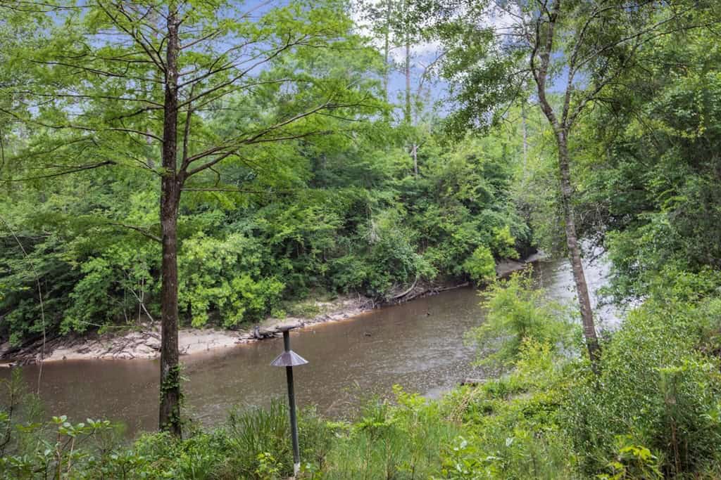 Rare Hunting Tract for Sale in Forrest County, MS
