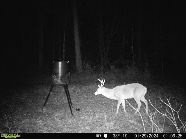 Wilkinson County Land for Sale Bordering National Forest
