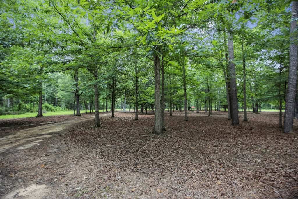 Rare Hunting Tract for Sale in Forrest County, MS