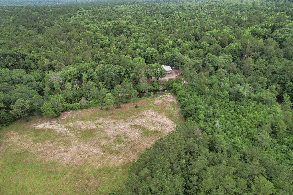 Rare Hunting Tract for Sale in Forrest County, MS