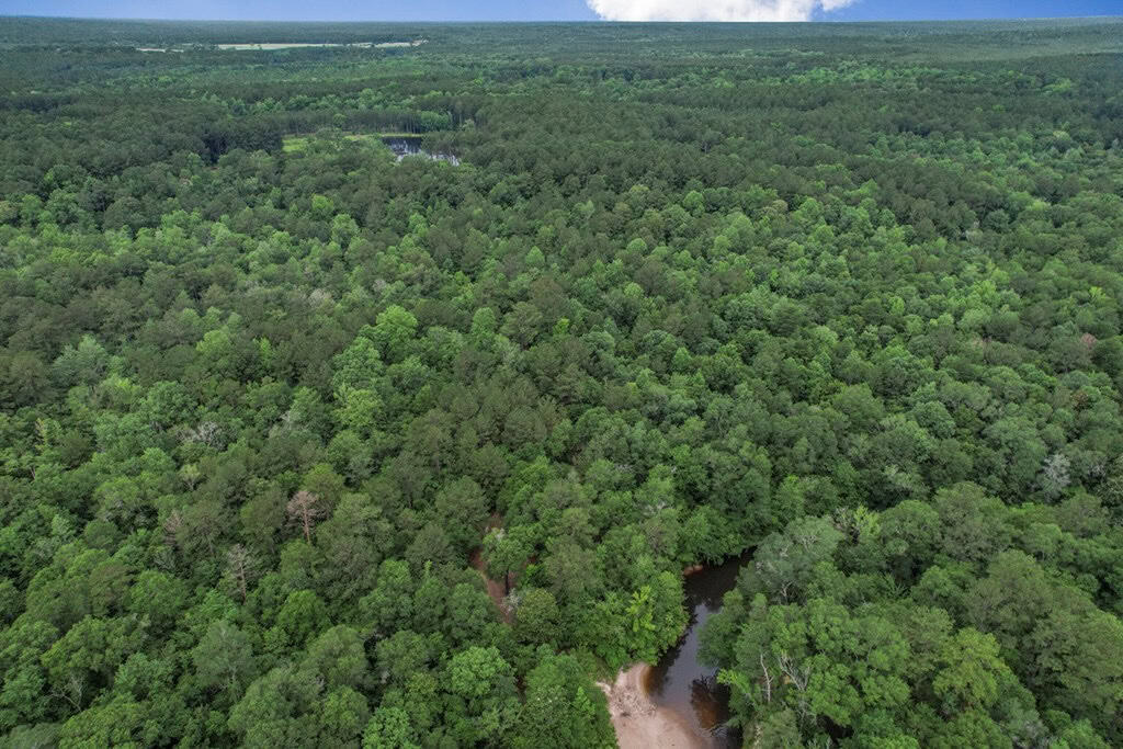 Rare Hunting Tract for Sale in Forrest County, MS
