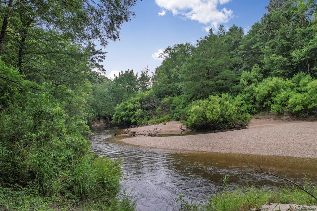 Rare Hunting Tract for Sale in Forrest County, MS