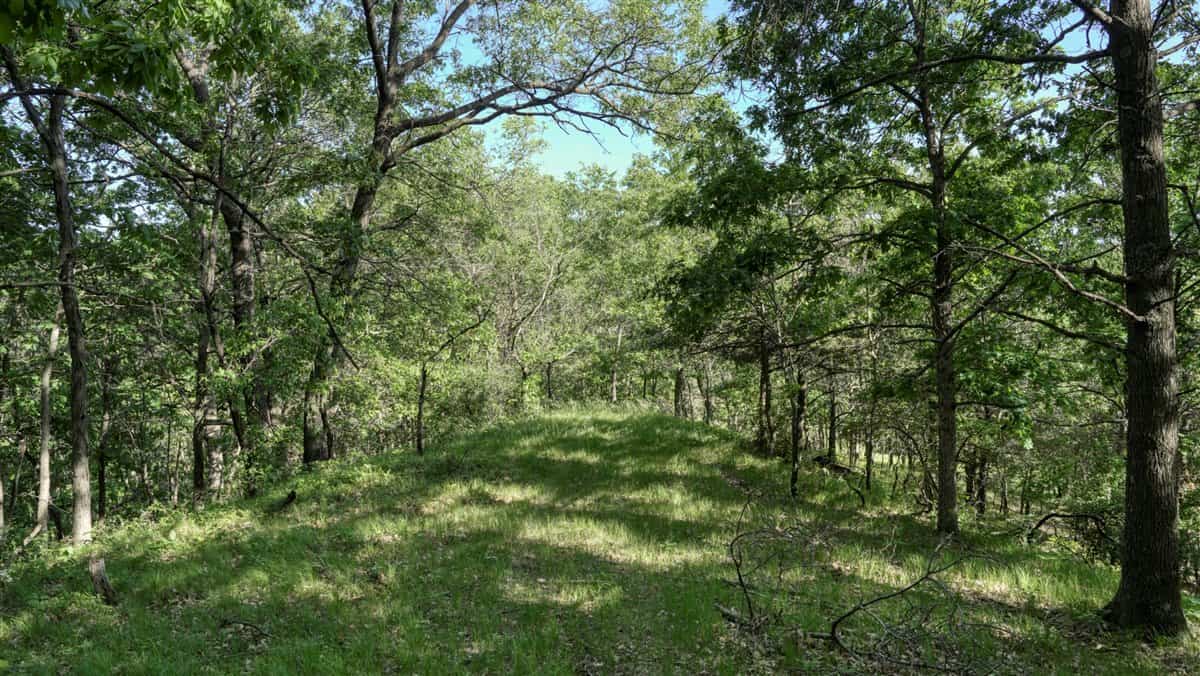 Western Jackson County, WI 11.77 Timbered Acre