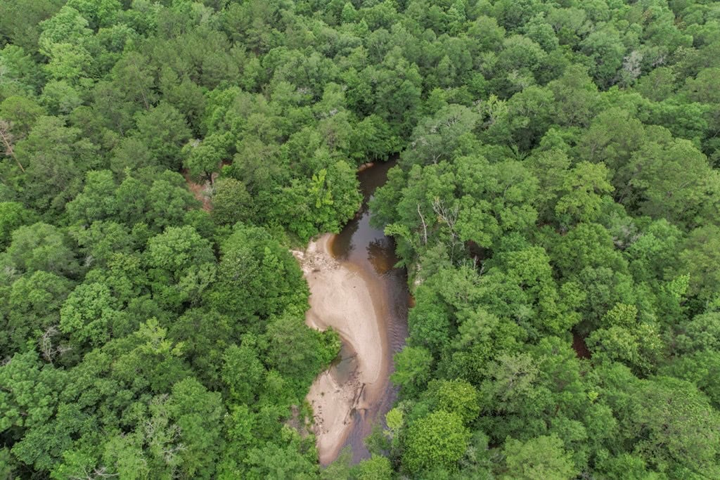 Rare Hunting Tract for Sale in Forrest County, MS