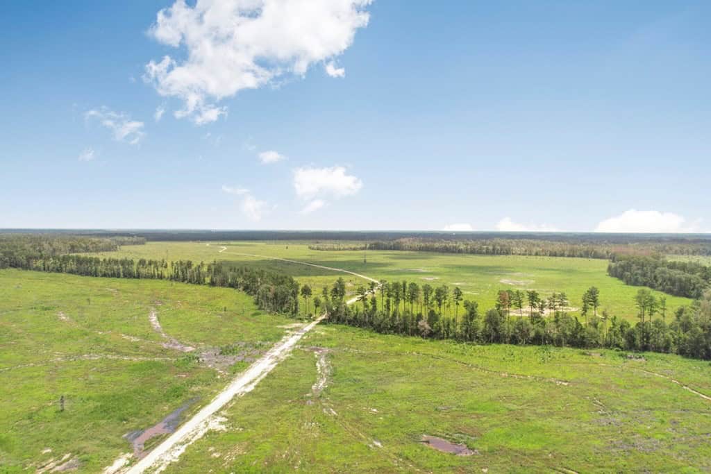Land for Sale in Tangipahoa Parish, LA.