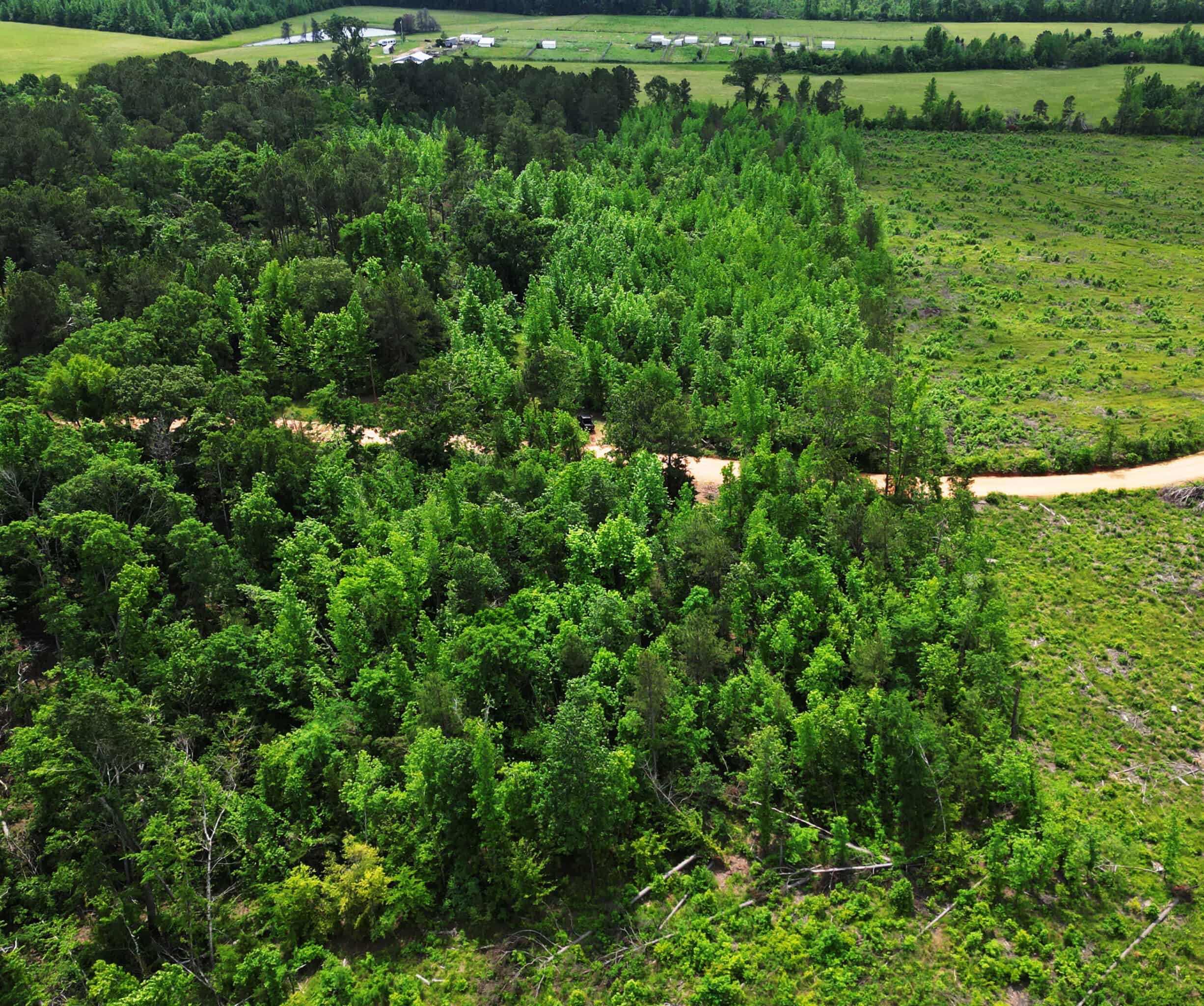 Excellent Hunting Land in Miller County