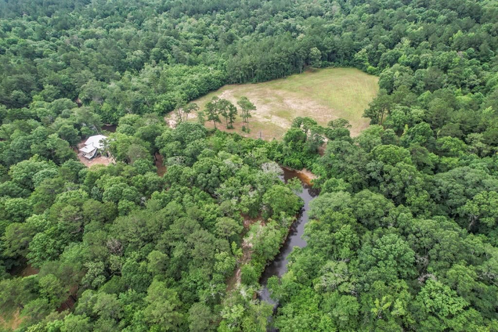 Rare Hunting Tract for Sale in Forrest County, MS