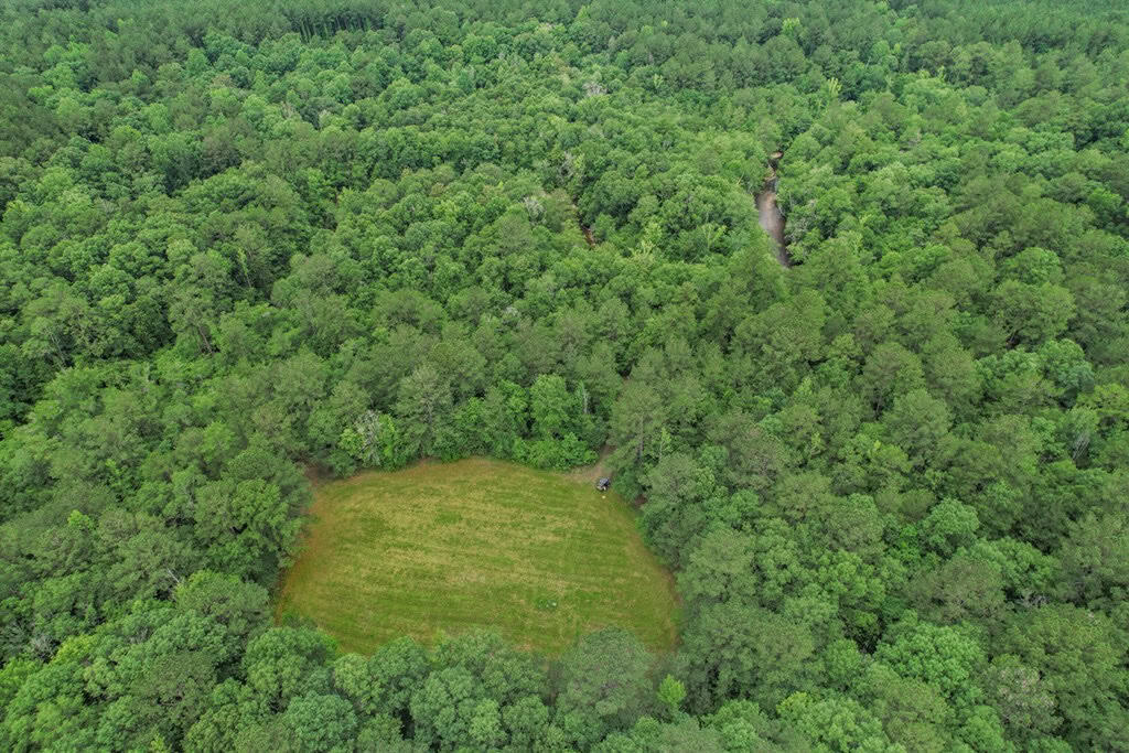 Rare Hunting Tract for Sale in Forrest County, MS