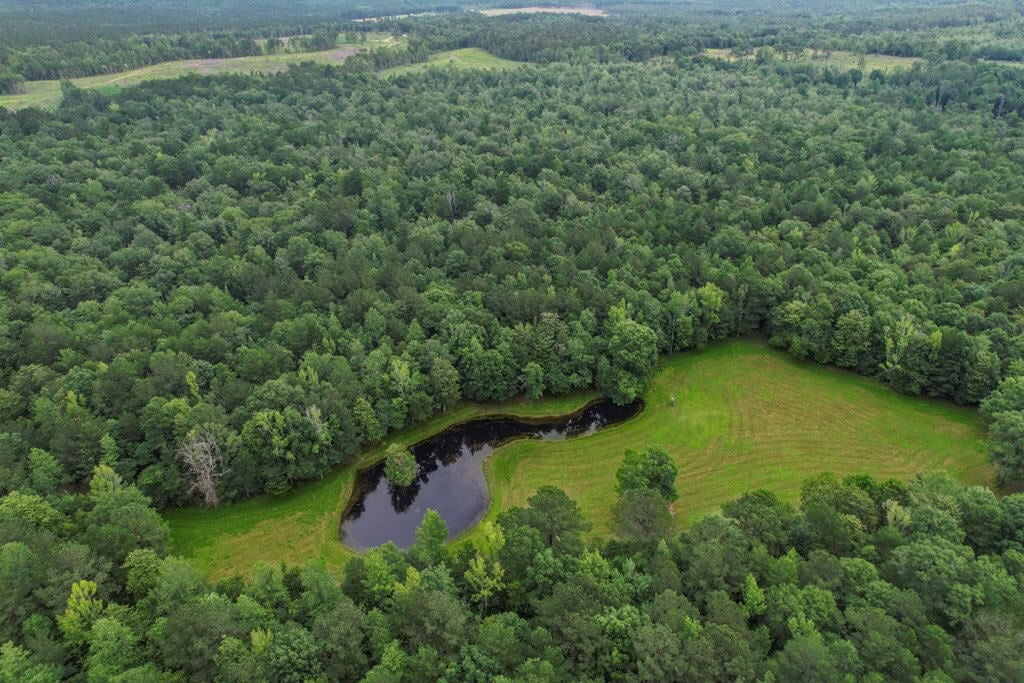 Rare Hunting Tract for Sale in Forrest County, MS